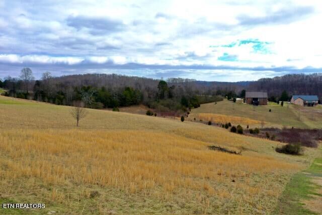 215 Majestic View Drive  Rockwood TN 37854 photo