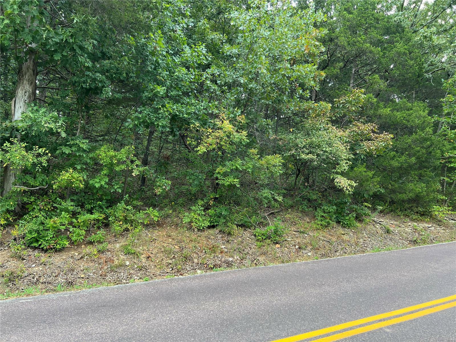 Property Photo:  0 3.9 Acres Dittmer Catawissa Rd  MO 63023 