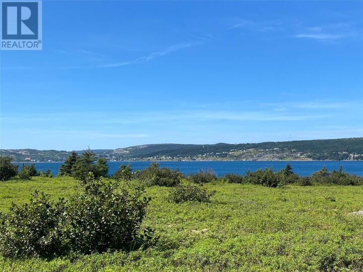 Property Photo:  365 Central Street  NL A0A 1G0 