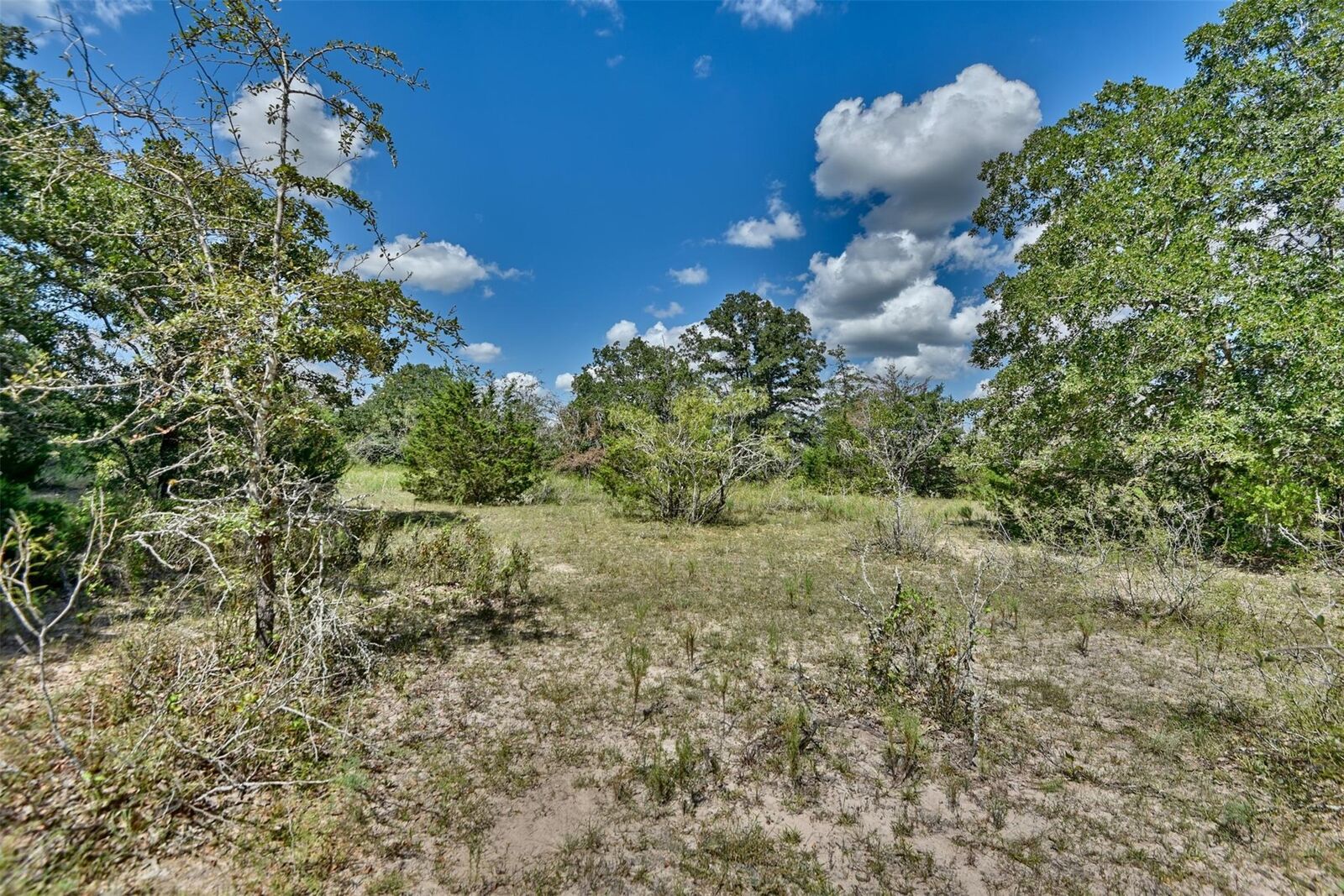 Property Photo:  000 Makinson Road  TX 78963 