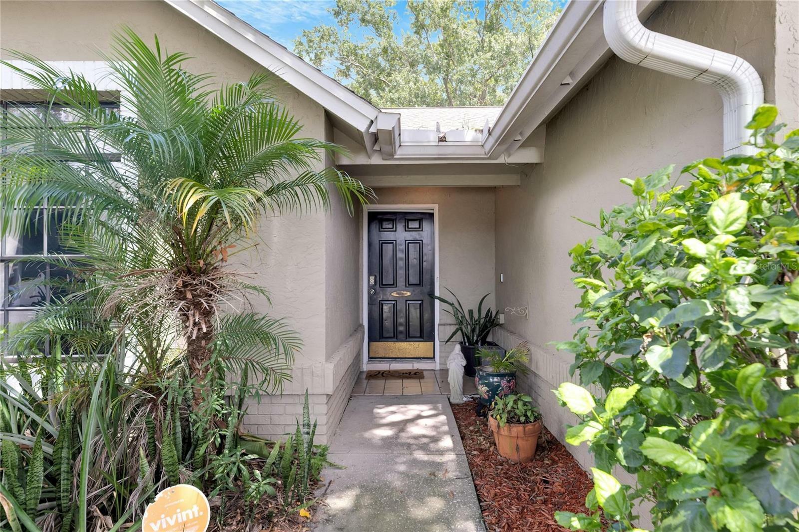 Property Photo:  10906 Carnelian Drive  FL 33578 