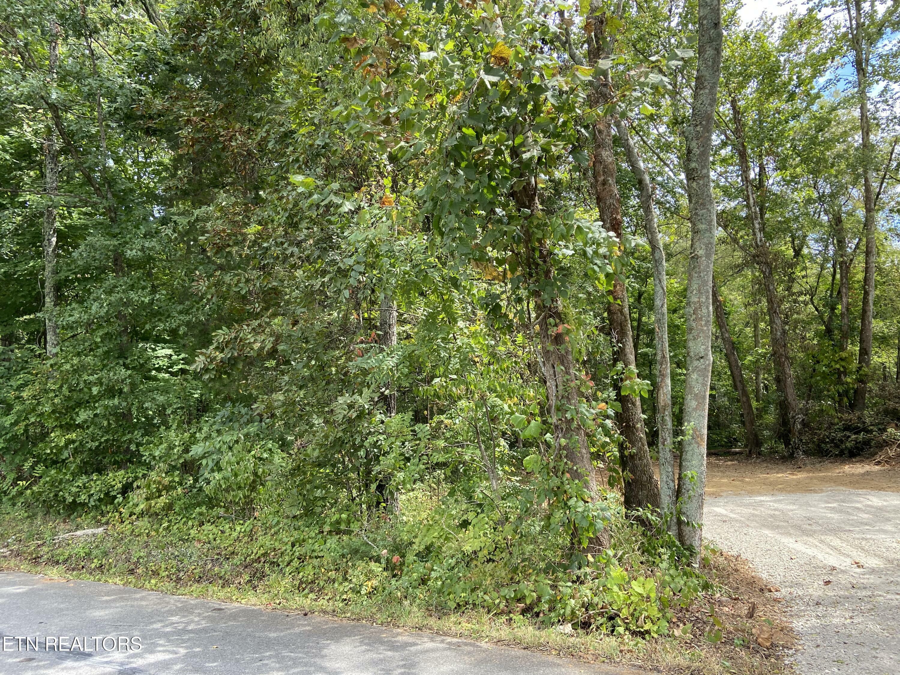 Property Photo:  412 Alfred McCammon Rd  TN 37804 