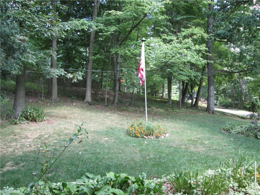 Property Photo:  181 Thompson Road Ext  PA 15010 