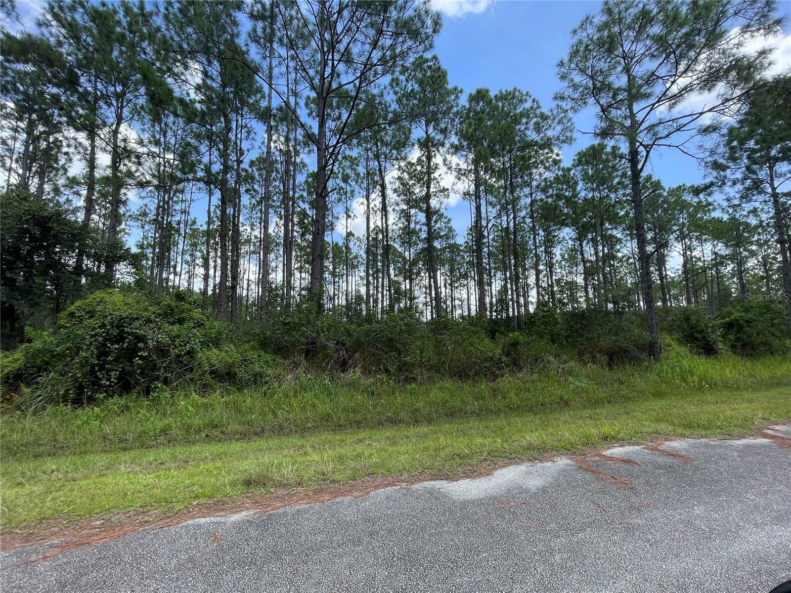 Property Photo:  8922 Oviedo Street  FL 33872 