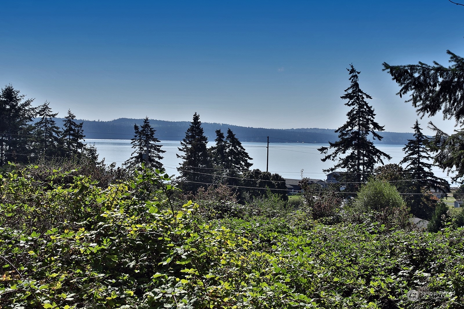 Property Photo:  820 Hawk Lane  WA 98253 