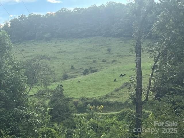 22 Fern Gully None  Marshall NC 28753 photo