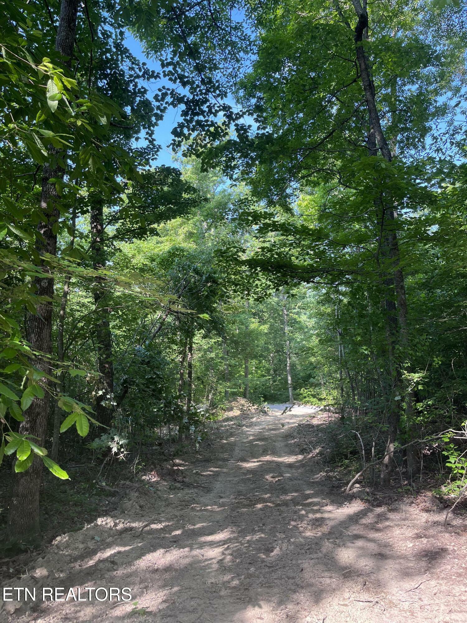 Property Photo: Little Sycamore Rd TN 37879
