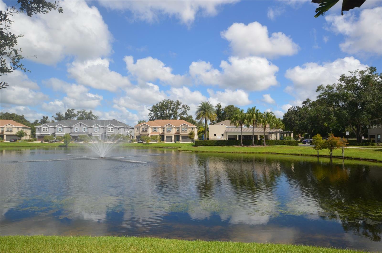 Property Photo:  6647 Rocky Park Street  FL 33625 