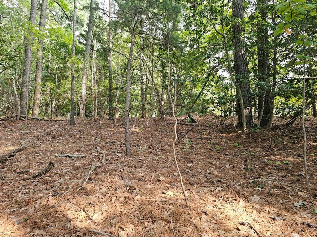 Property Photo:  Lot 3 Virginia Lane  VA 23350 