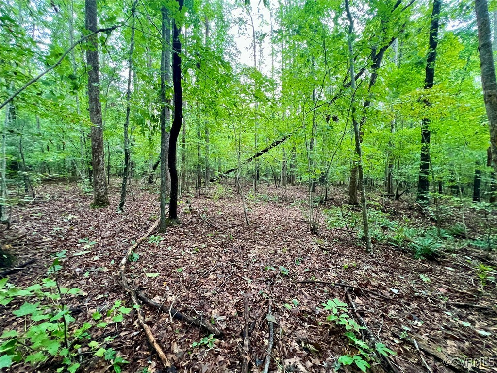 Property Photo:  Lot 18 Owl Rd  VA 23947 