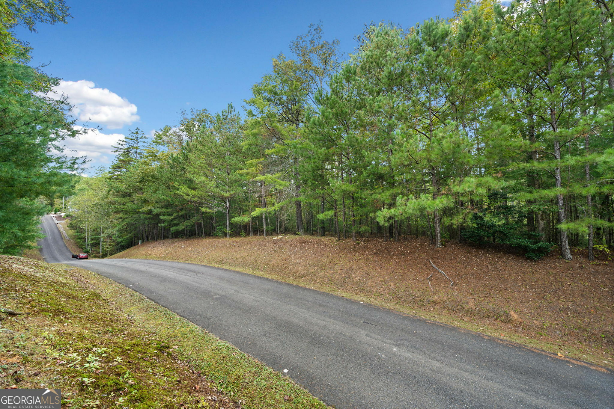 Property Photo:  L122 Trout Line Court  GA 30175 