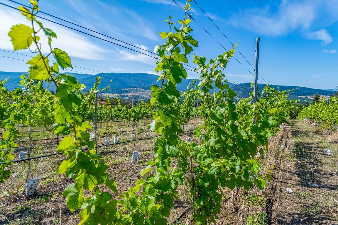 Photo de la propriété: 9269 Highway 6 BC V1B 3B5