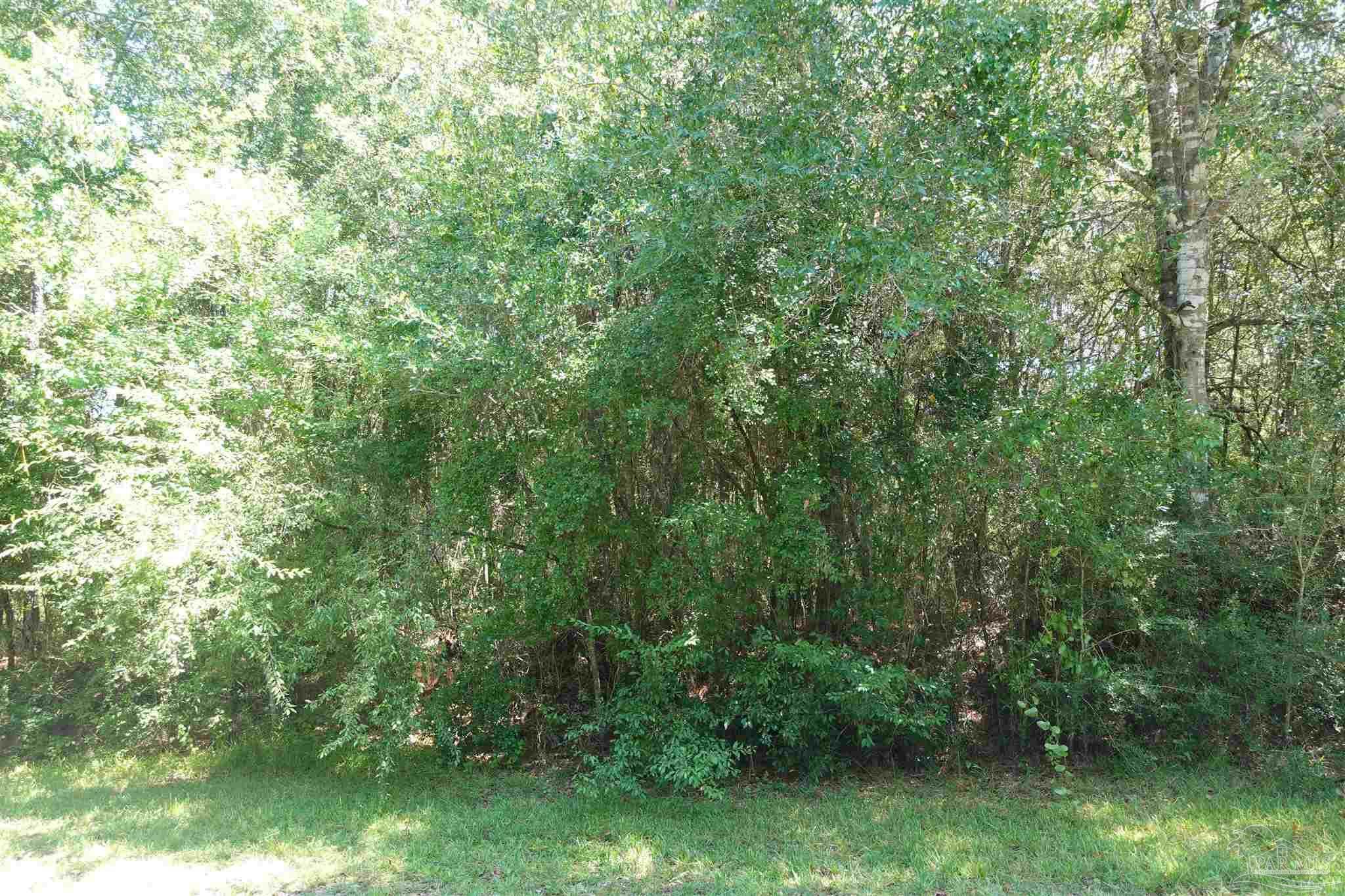 Property Photo:  00 Riverwood Rd  FL 32583 