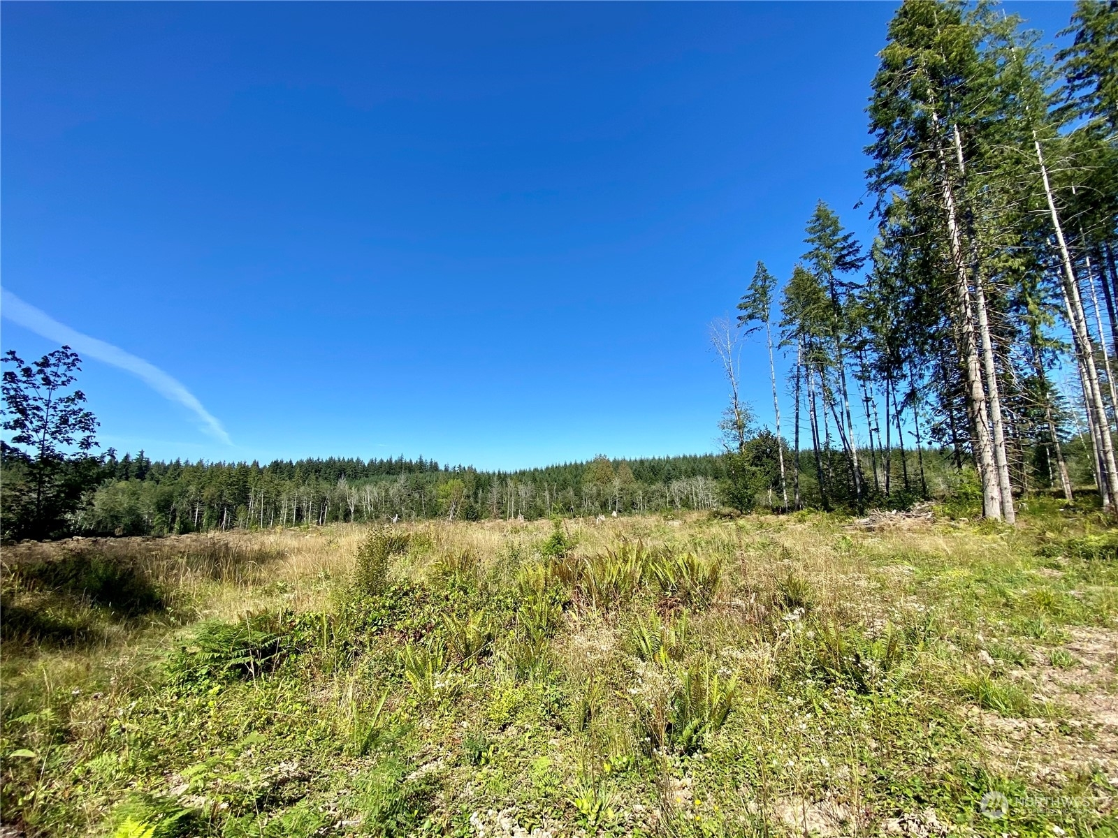 Property Photo:  4273 Lot C SE Lynch Road  WA 98584 