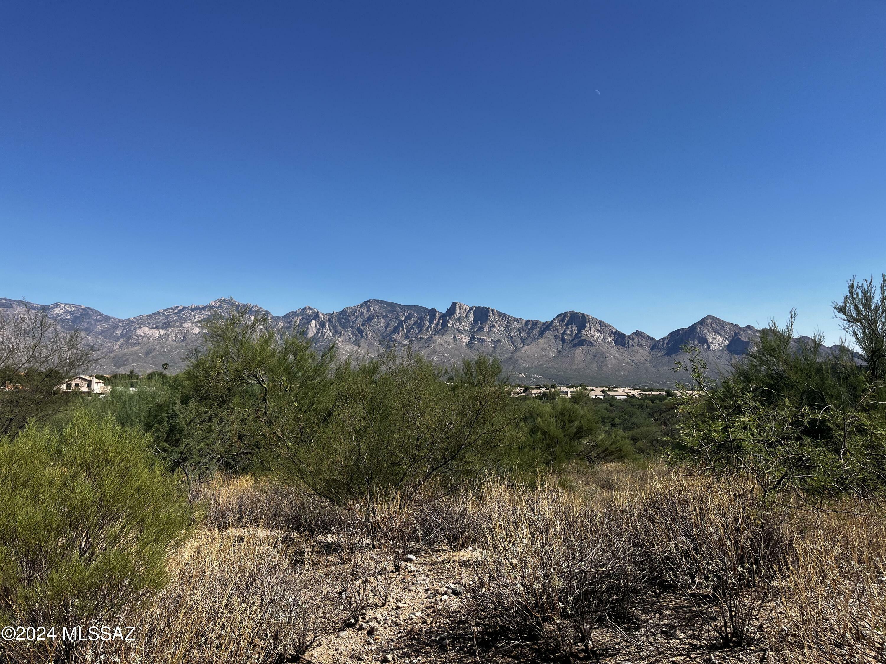 Property Photo:  12766 N Vistoso Pointe Drive  AZ 85755 