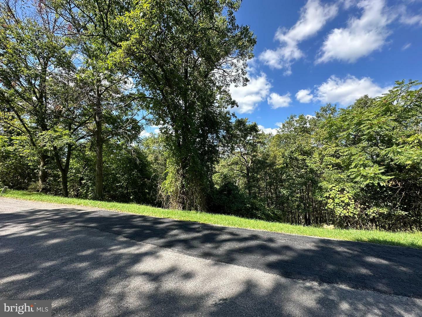 Property Photo:  Lots 310 &Amp 312 Skyview Drive  MD 21502 