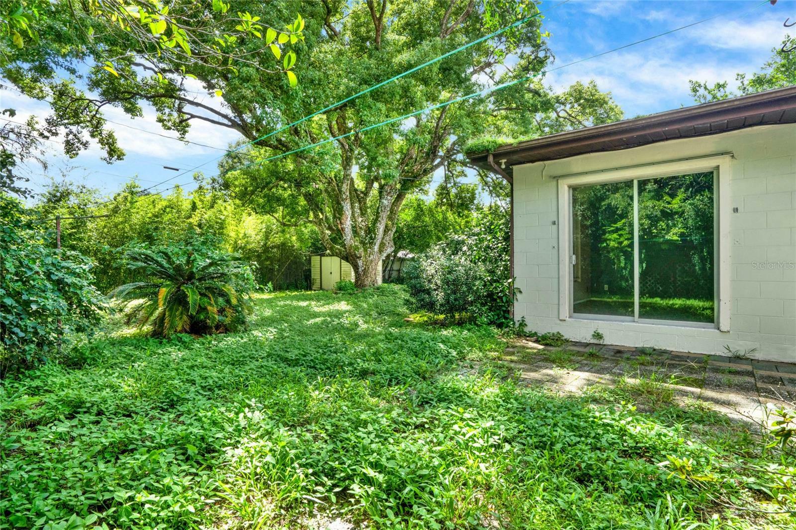 Property Photo:  117 Shannon Drive  FL 32773 