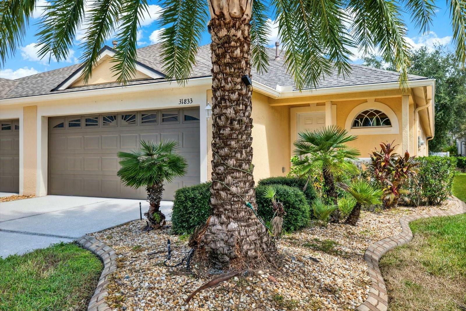 Property Photo:  31833 Turkeyhill Drive  FL 33543 