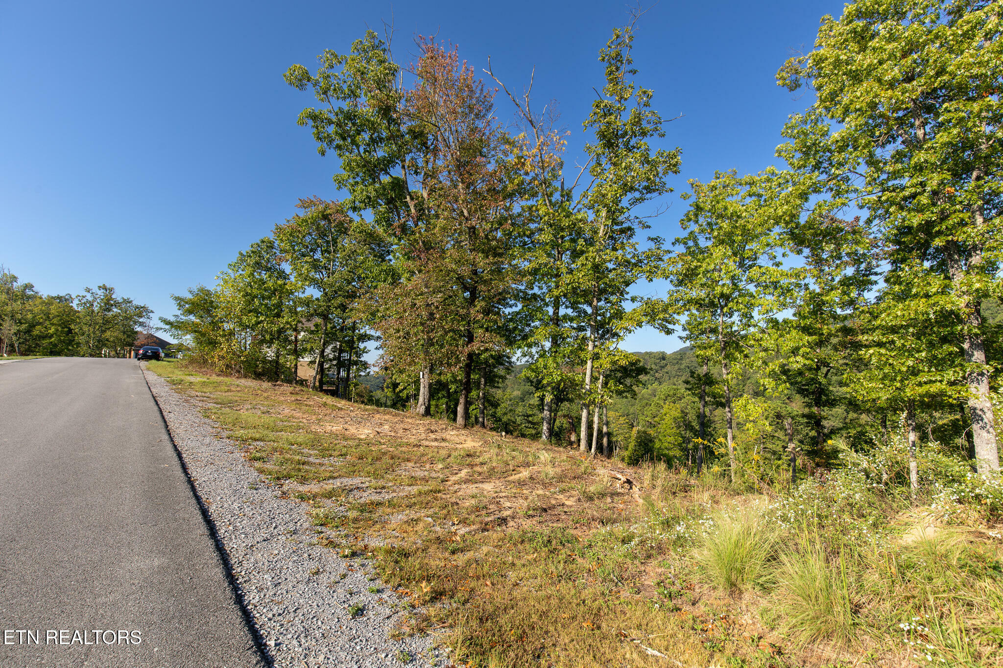 Lot 167 Smoky Bluff Tr  Sevierville TN 37862 photo