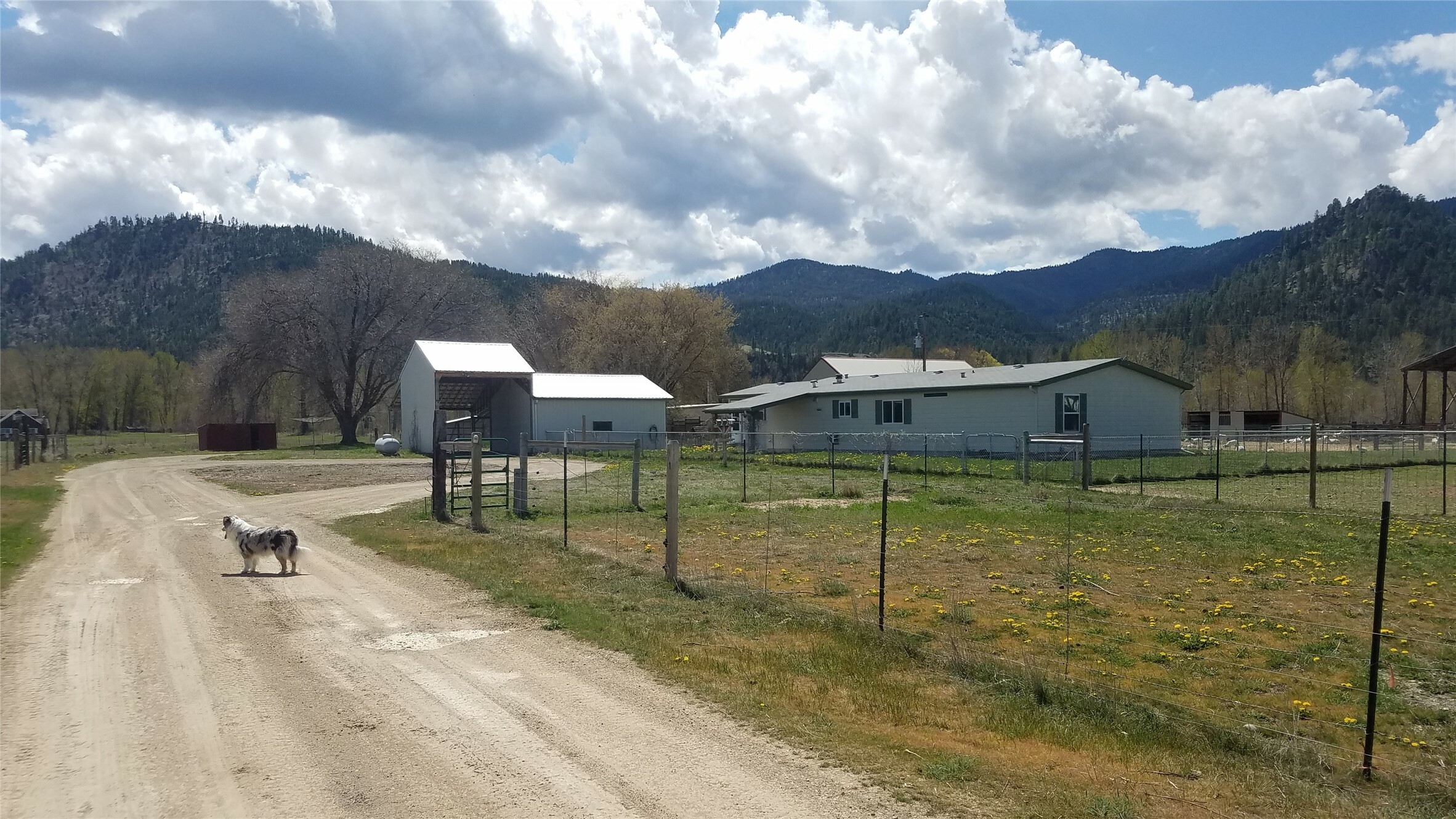 Property Photo:  14486 Harpers Bridge Road  MT 59808 