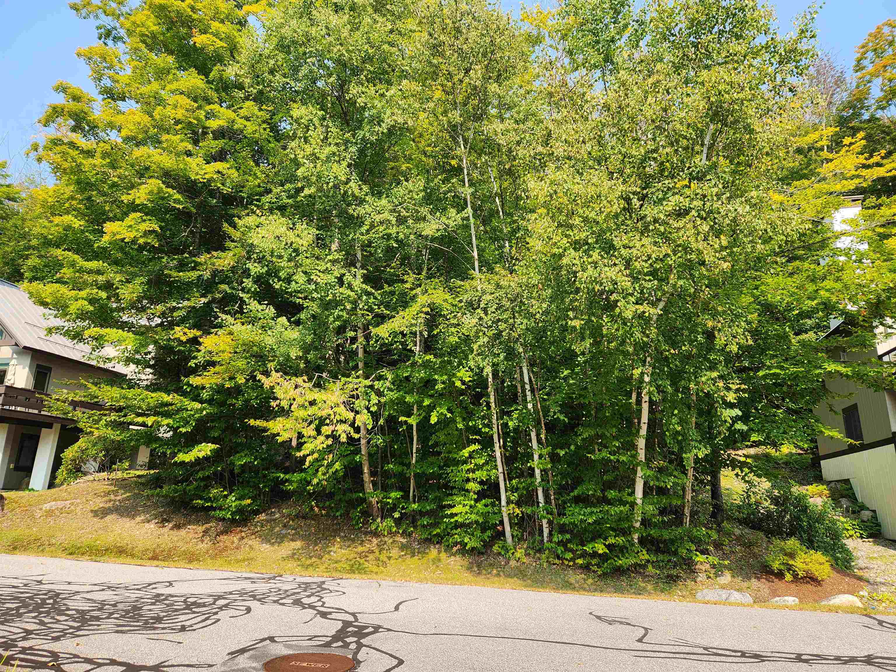 Property Photo:  68 Westview Road  NH 03251 