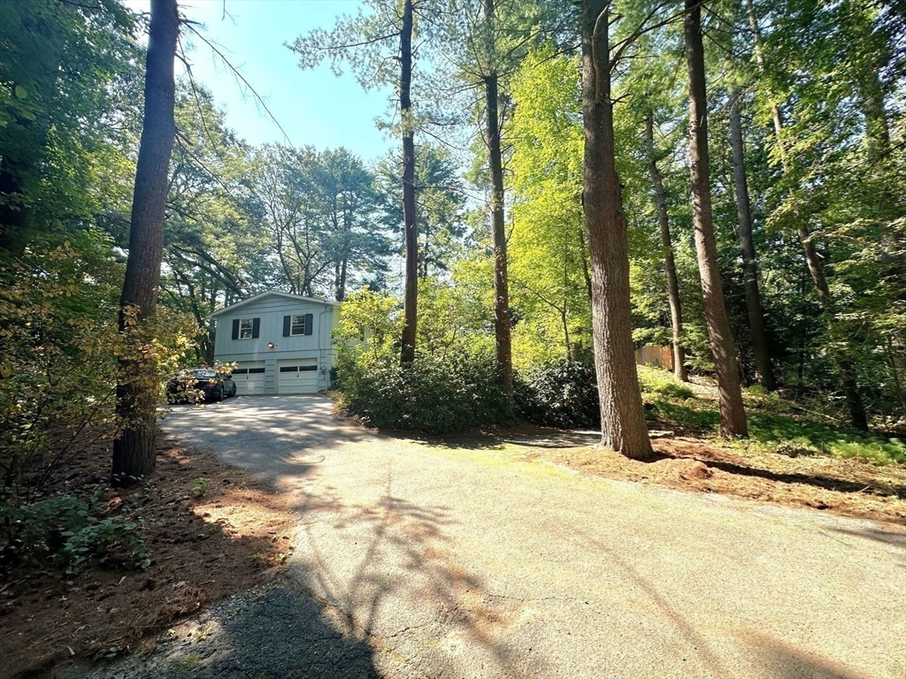 Property Photo:  163 Concord Rd  MA 01778 