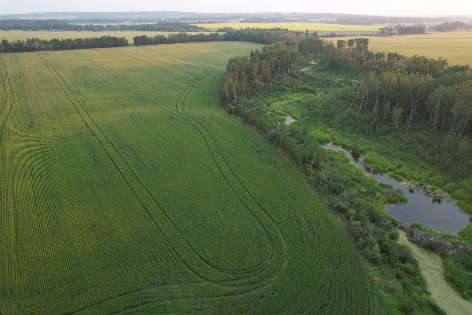 Photo de la propriété: On Range Road 30A AB T0C 0M0
