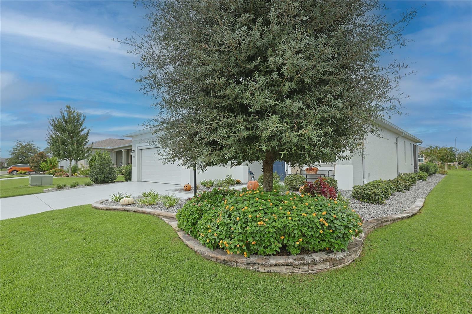 Property Photo:  7574 SW 85th Terrace  FL 34481 