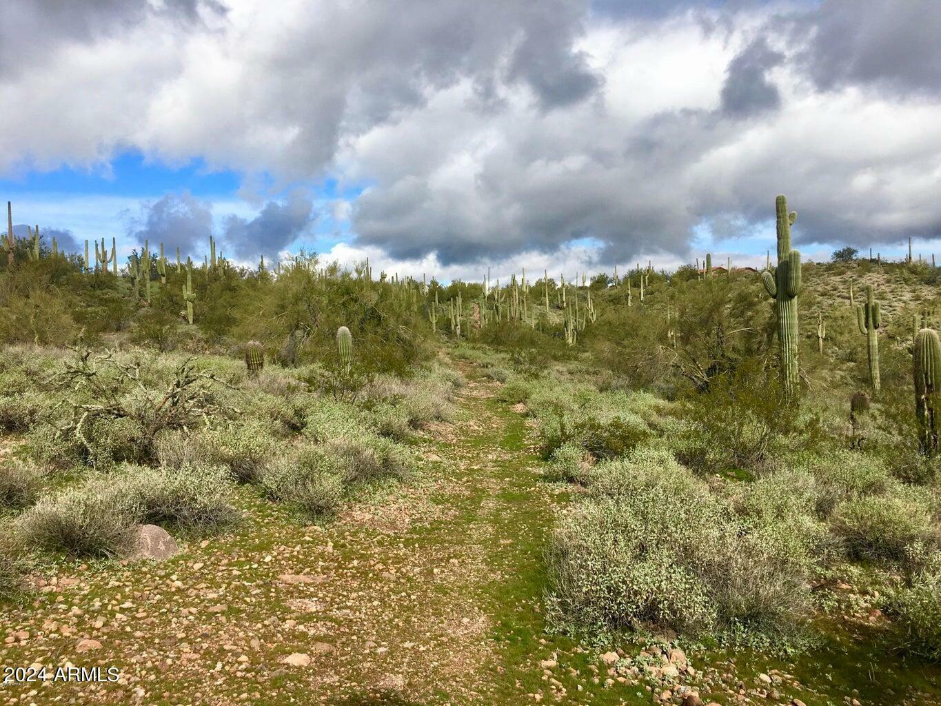 Property Photo:  3353 W Roughrider 5 Ac Road -  AZ 85087 