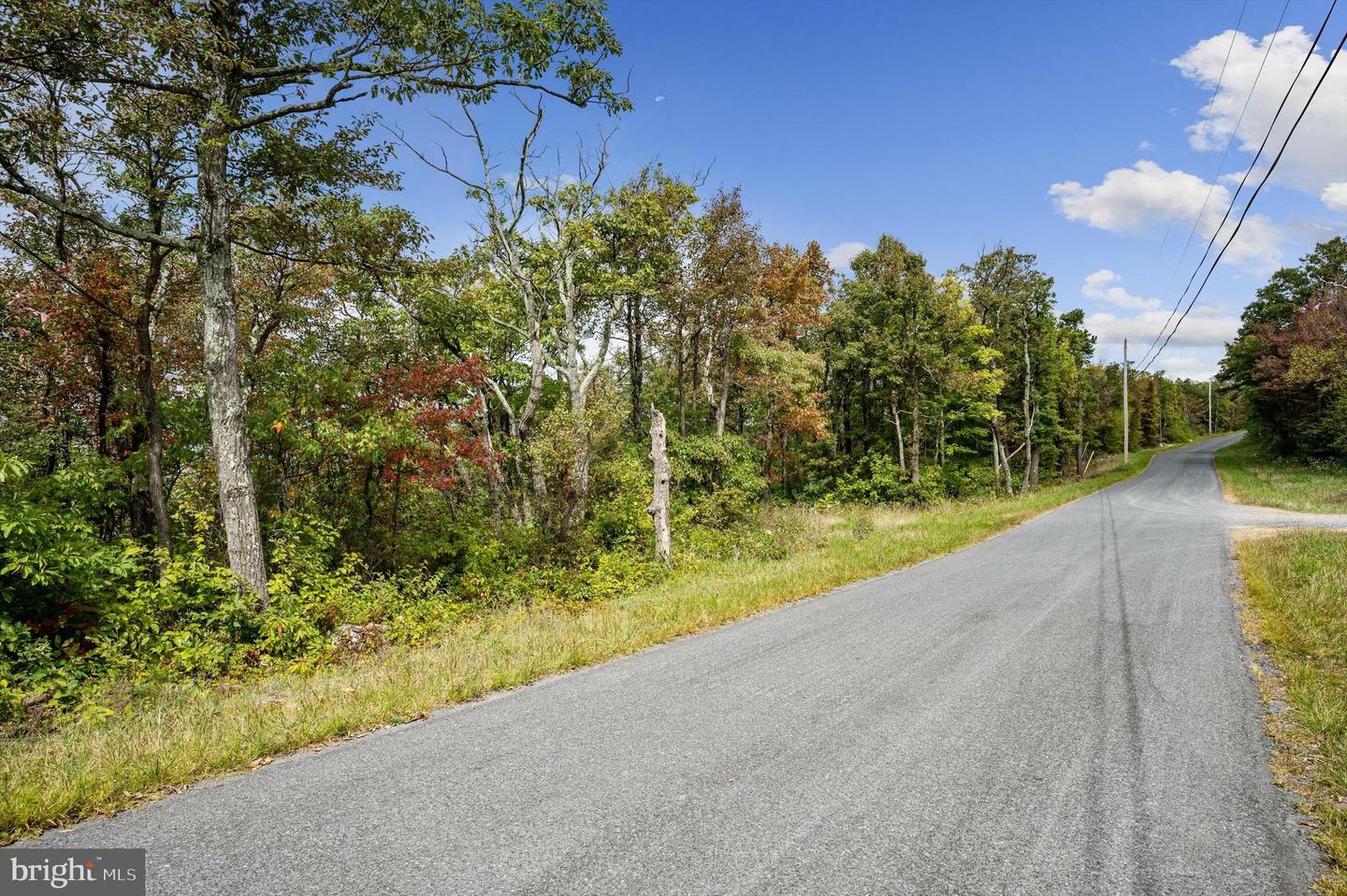 Property Photo:  Lot 38 Timber Ridge Trail  VA 22602 