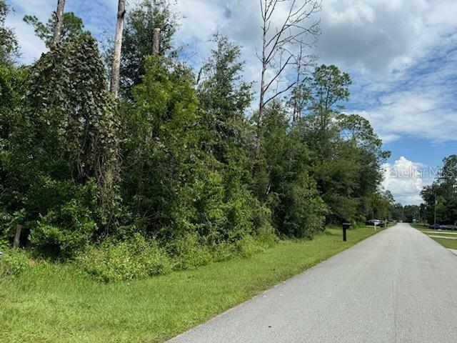 Property Photo:  Lot 20,21,22 SW Peach Blossom Street  FL 34431 