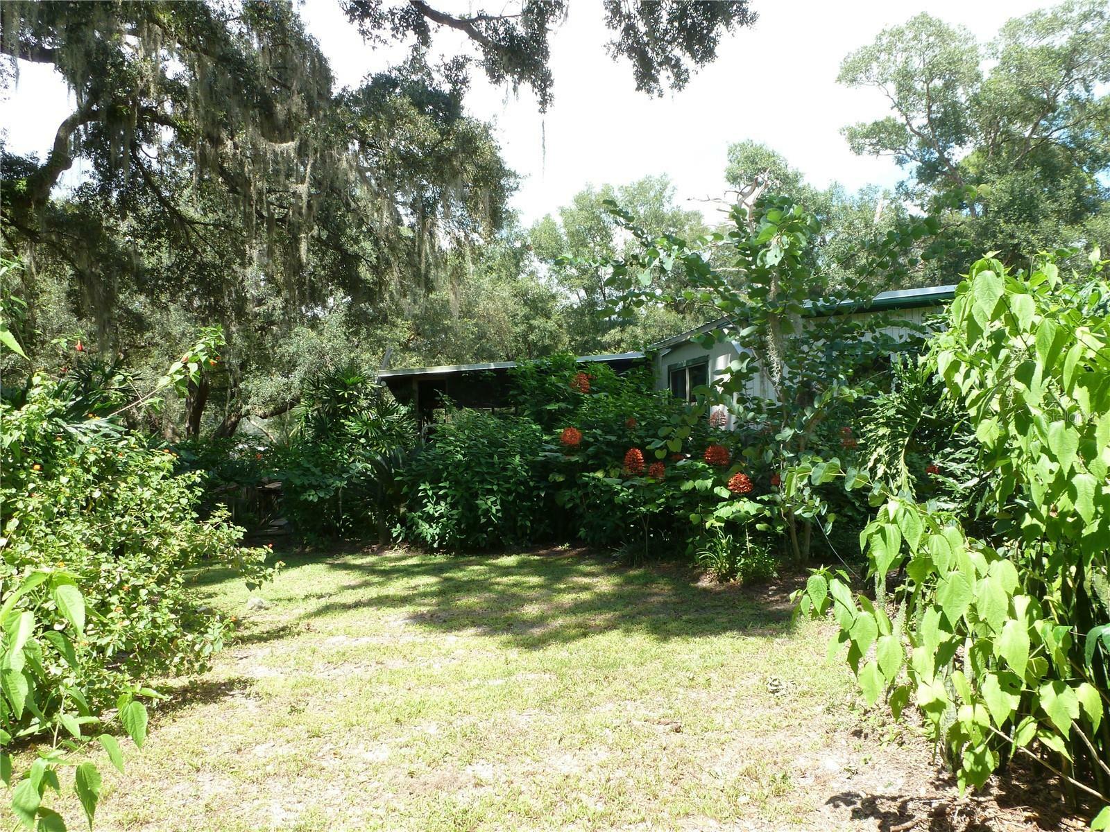 Property Photo:  6617 Virginia Beach Lane  FL 32656 