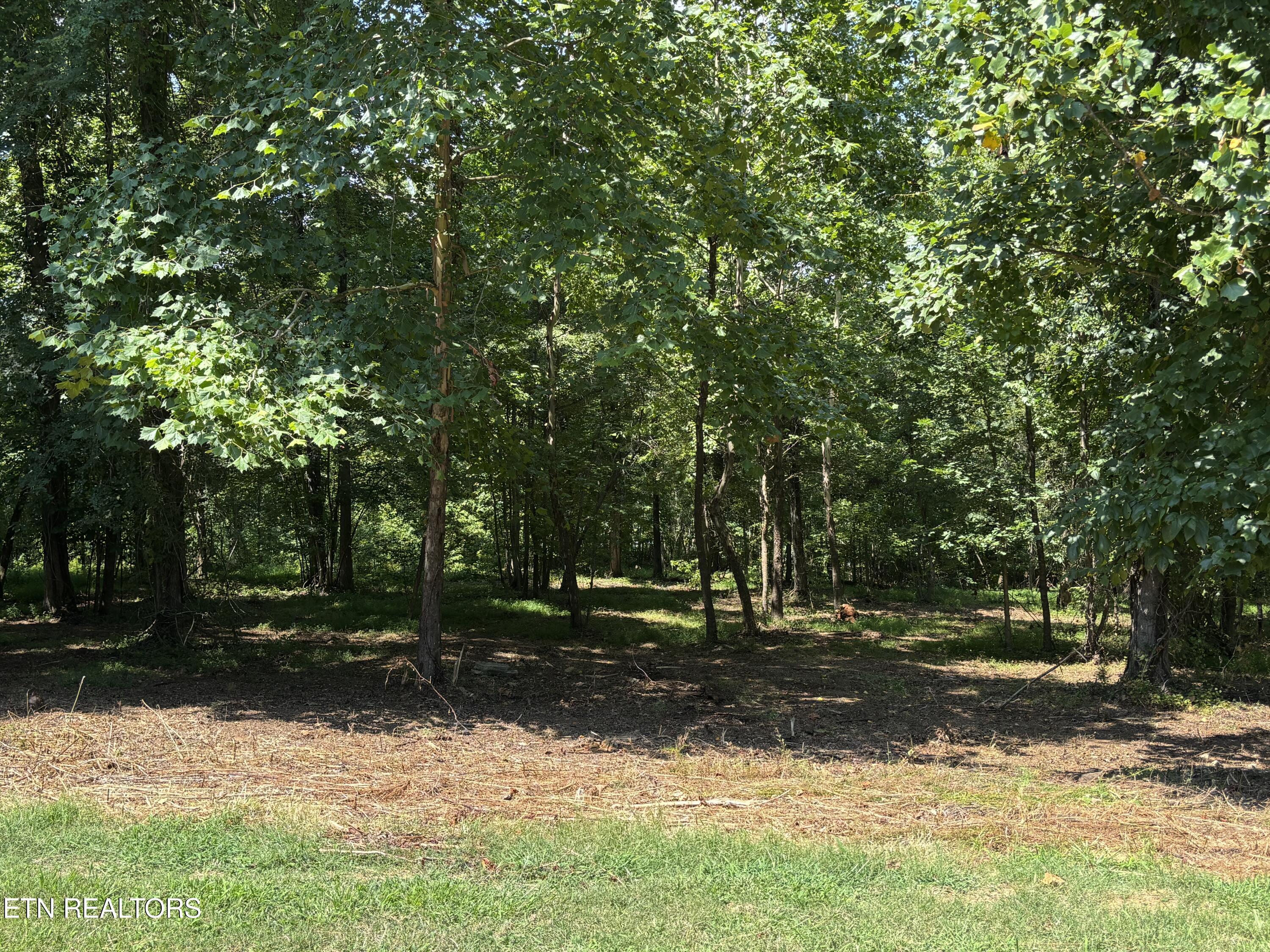 Property Photo:  371 Walking Horse Tr  TN 37854 