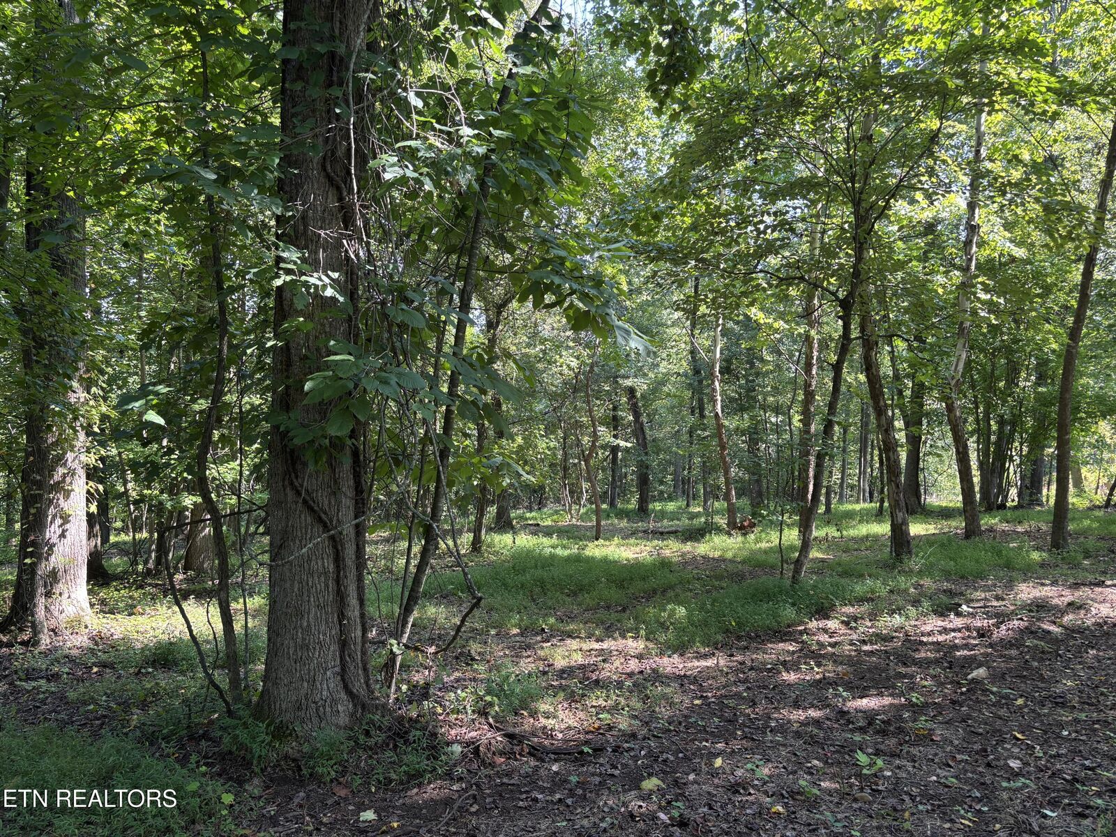 Property Photo:  371 Walking Horse Tr  TN 37854 