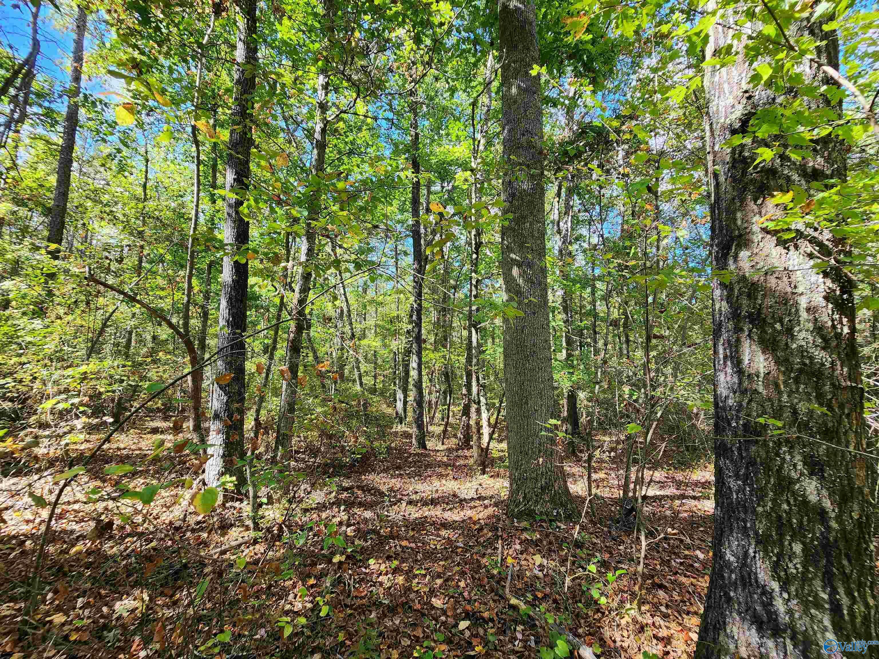 Property Photo:  Lot 17 Hunters Ridge Phase Iii  AL 35984 