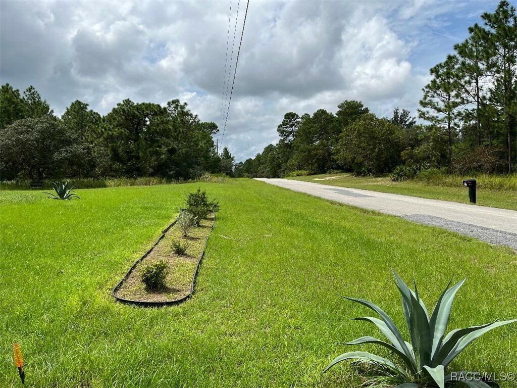 Property Photo:  4294 W Papoose Lane  FL 34465 