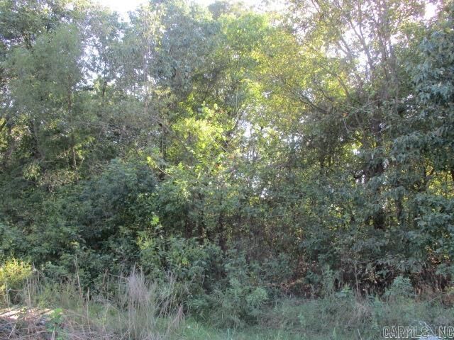 Property Photo:  Tbd Greene 835 Rd  AR 72450-0000 