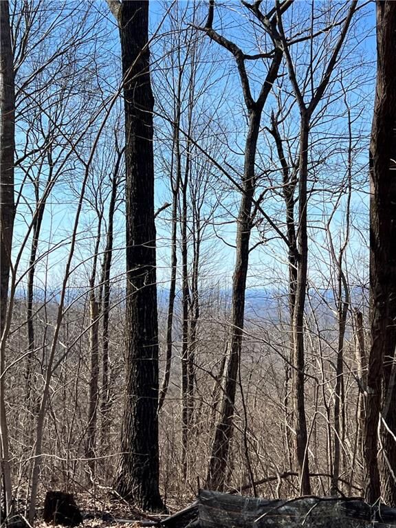236+ Andes Ridge  Ellijay GA 30536 photo