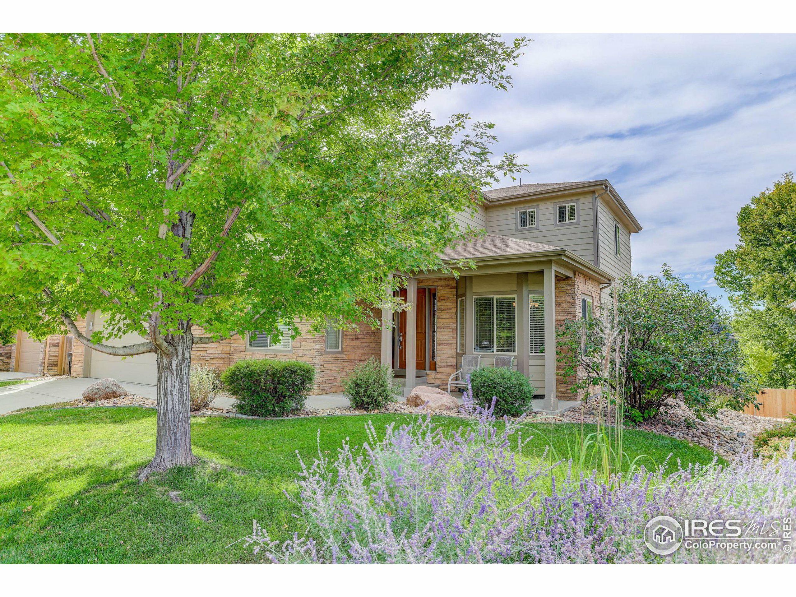 729 Rider Ridge Dr  Longmont CO 80504 photo