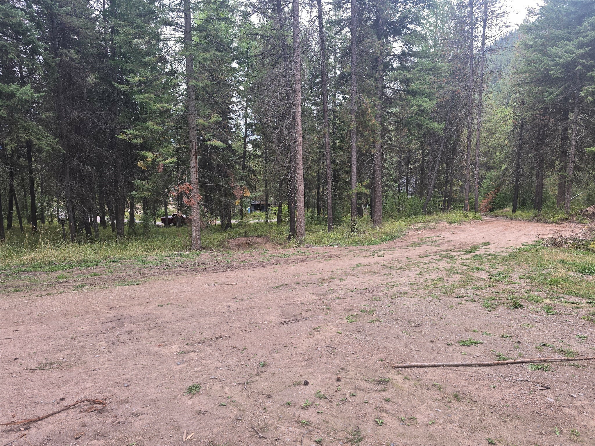 Property Photo:  200 Cougar Meadow Drive  MT 59866 