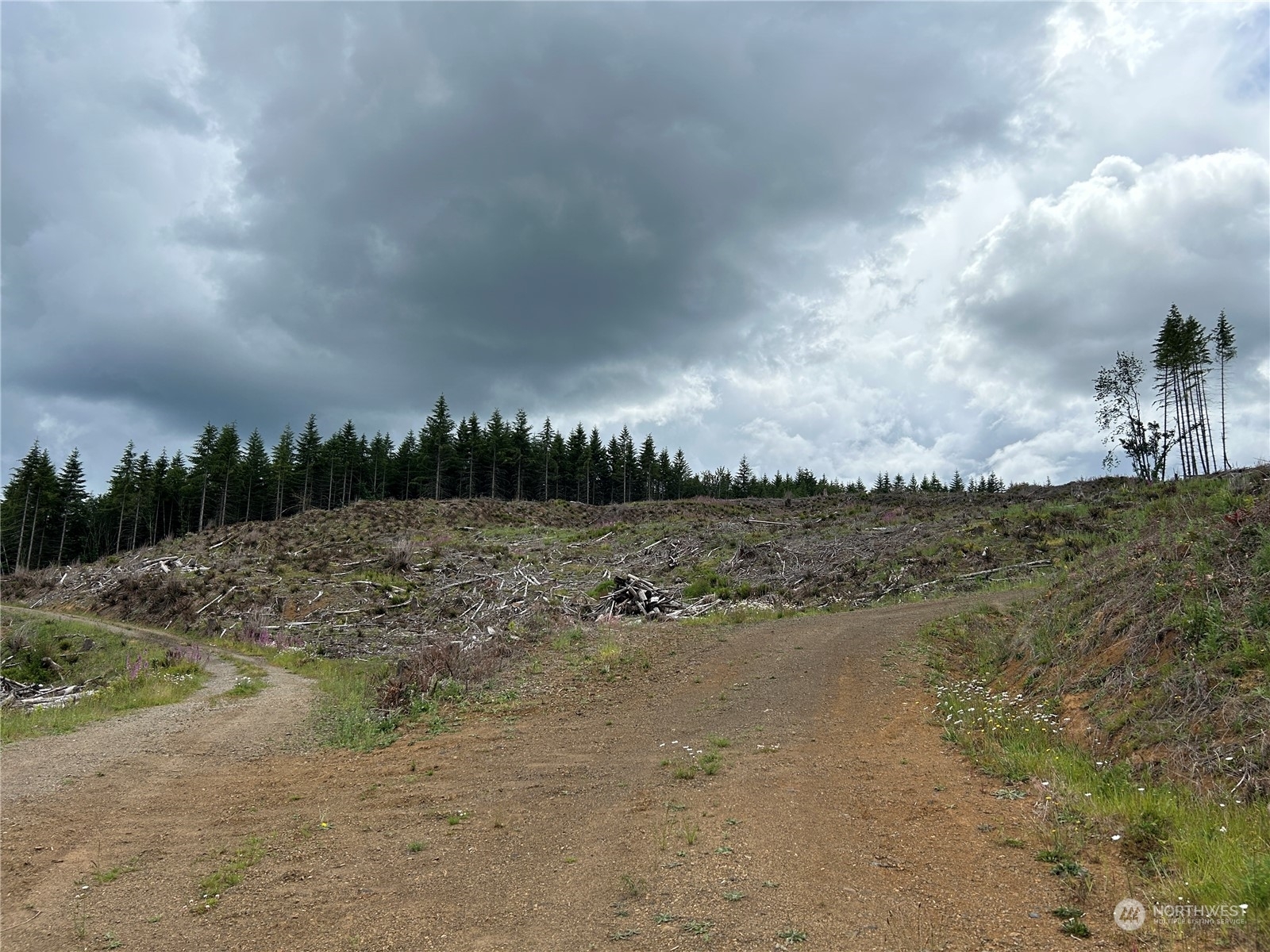 Property Photo:  0 Nka  713 Road  WA 98611 