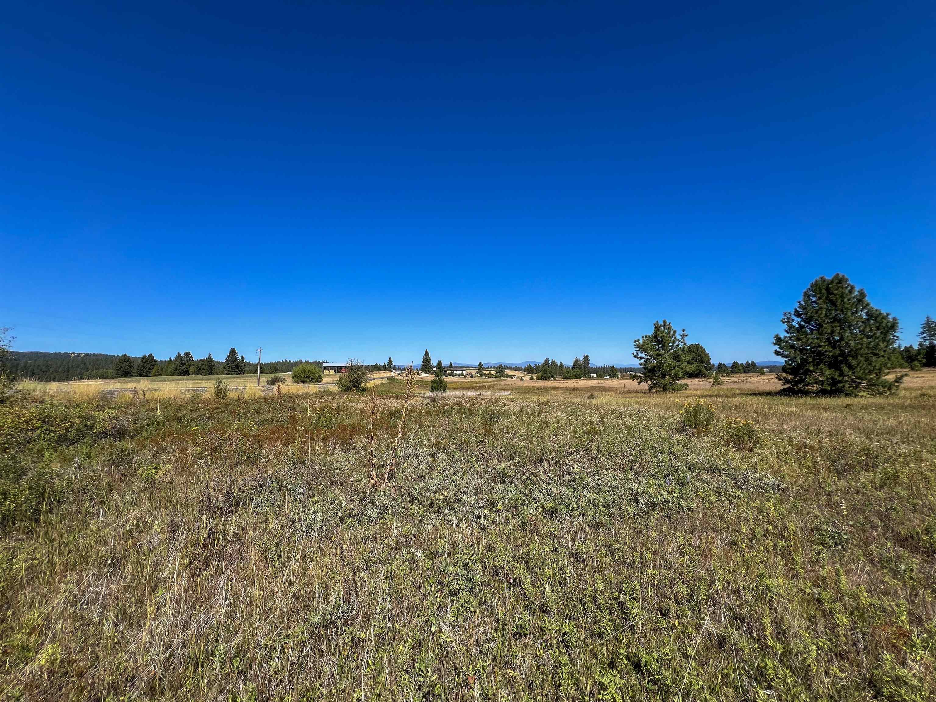 Property Photo:  52xx Lot 1 Swenson Rd  WA 99006 