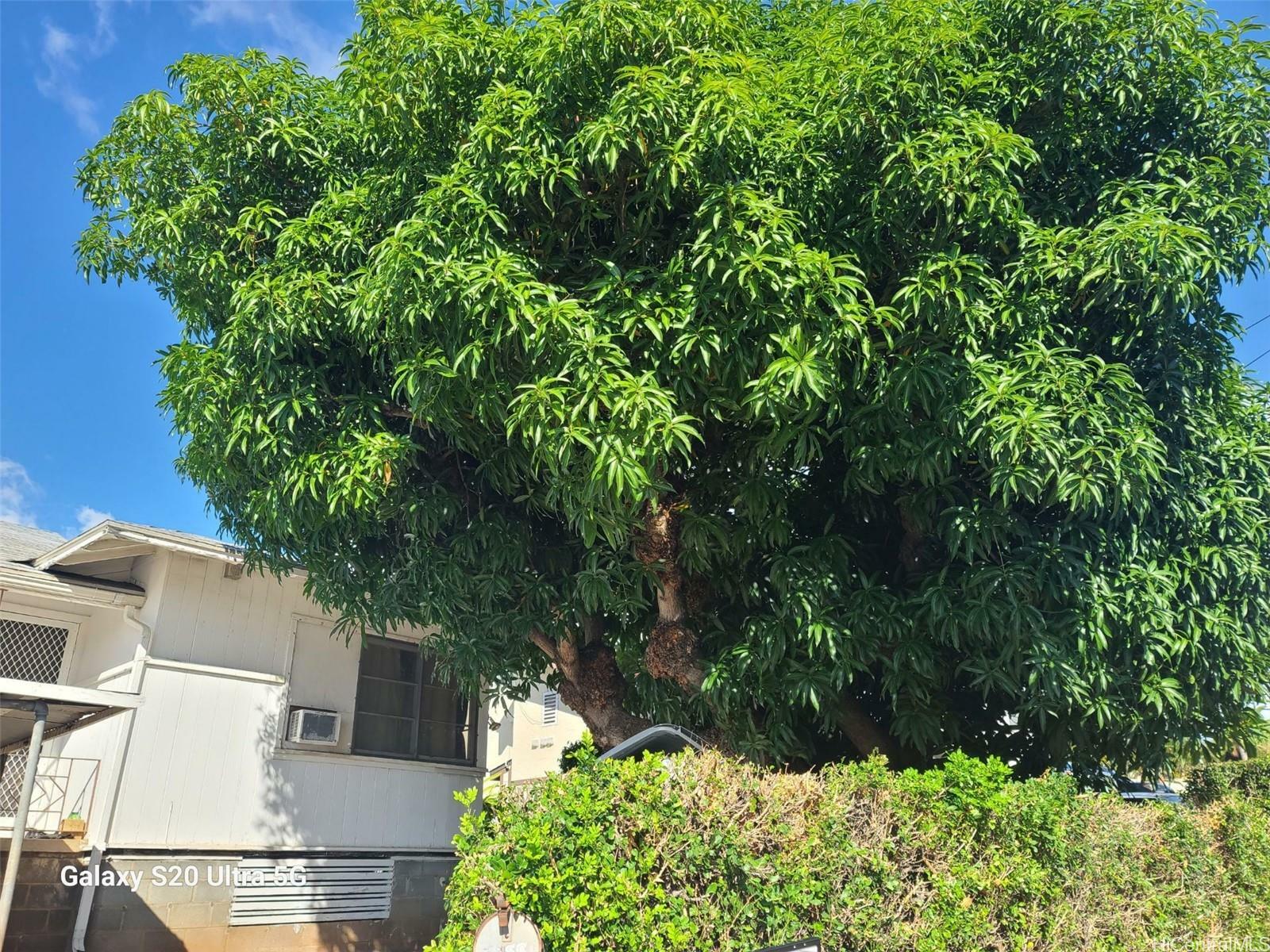 3168 Harding Avenue  Honolulu HI 96816 photo