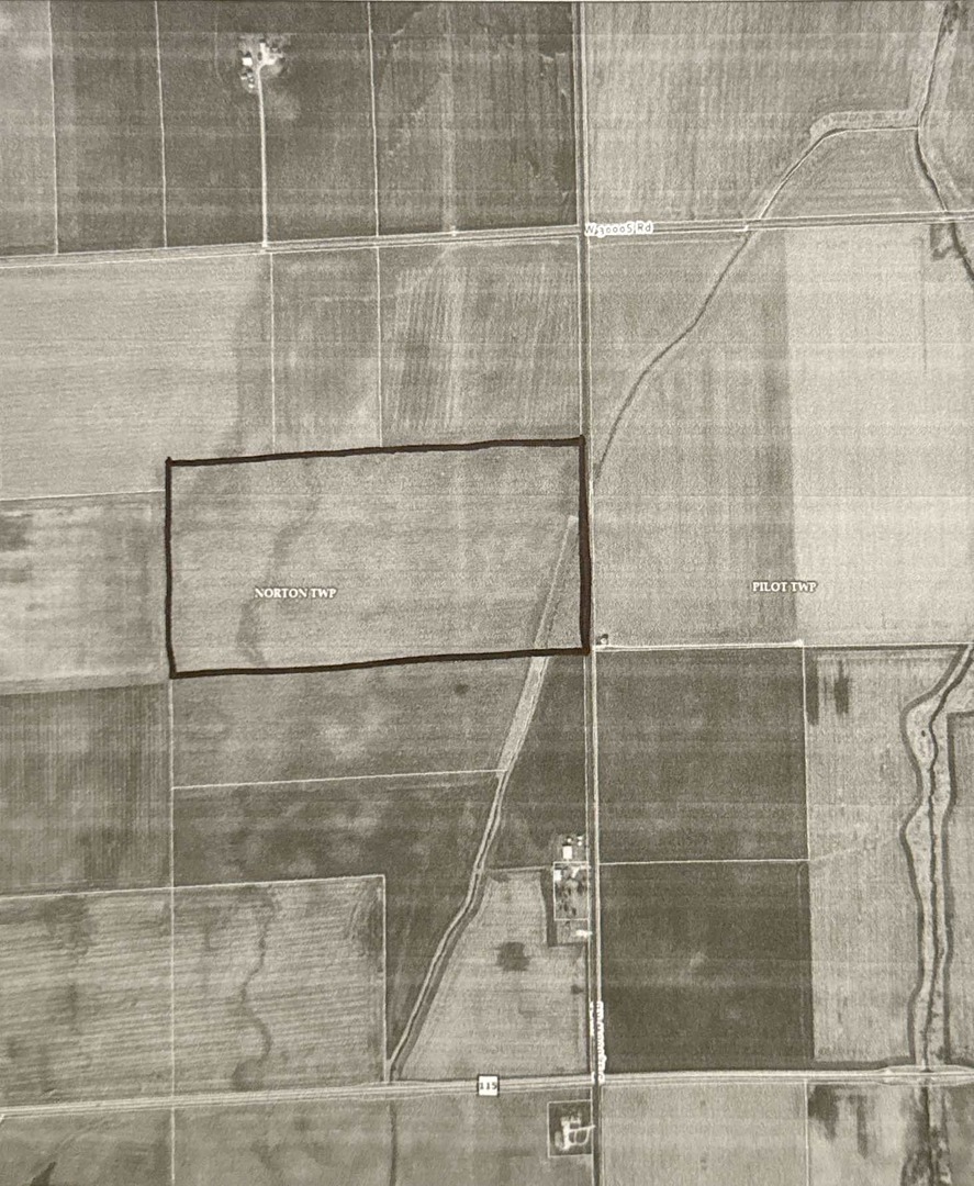 Section 24 N 80acres  Buckingham IL 60917 photo