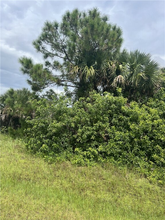 Property Photo:  3061 Madden Avenue SW  FL 32908 