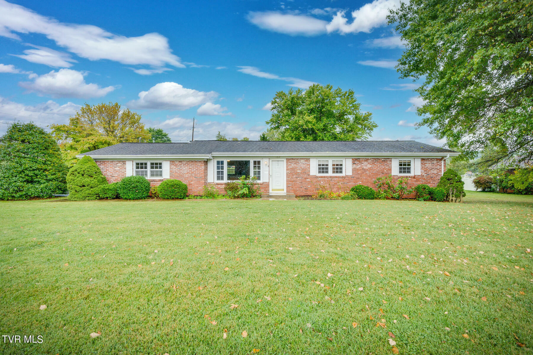 Property Photo:  157 Maplehurst Lane  TN 37618 