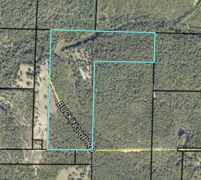 79 Acres Bucking Up Road  Laurel Hill FL 32567 photo