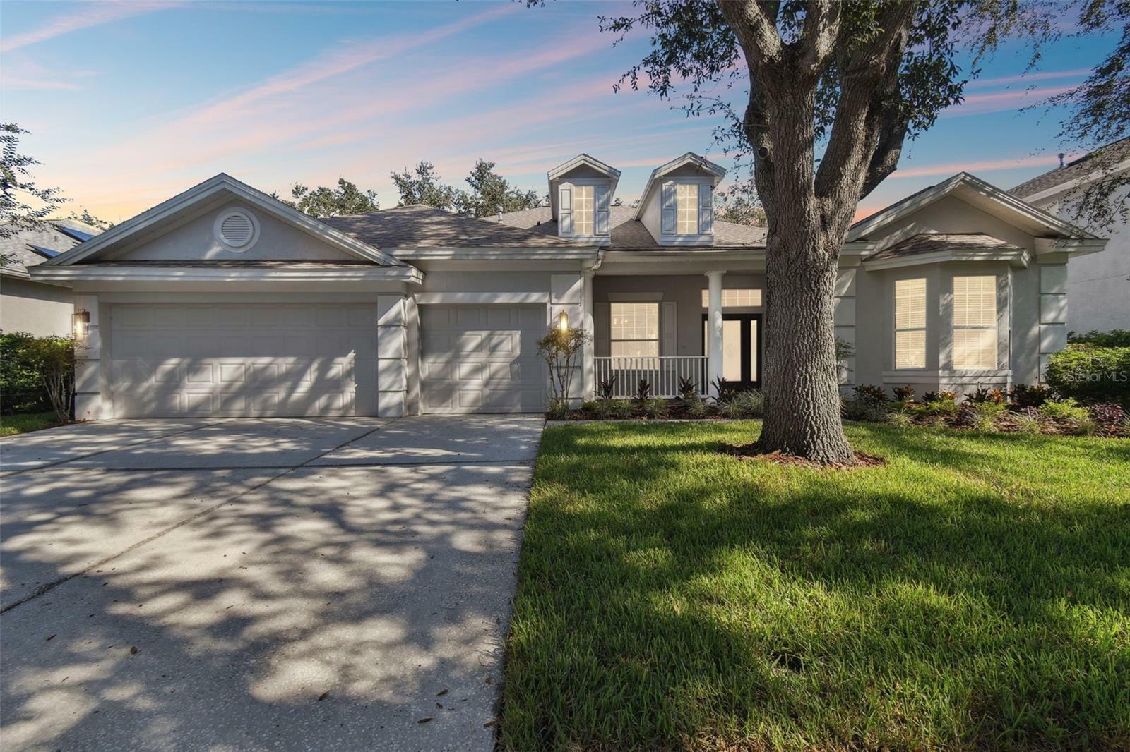 Property Photo:  10244 Shadow Branch Drive  FL 33647 