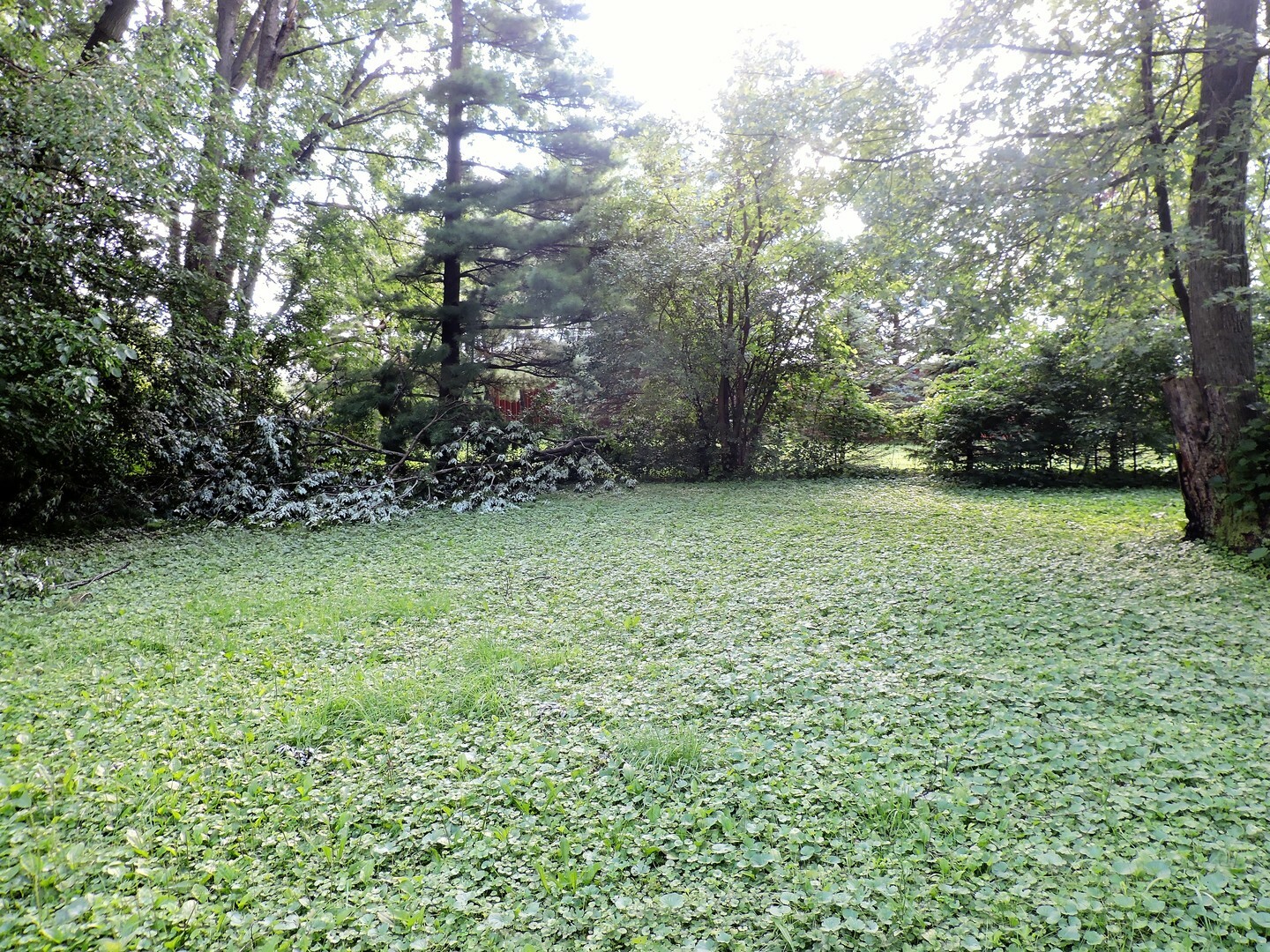 Property Photo:  30W663 Sunrise Road  IL 60563 