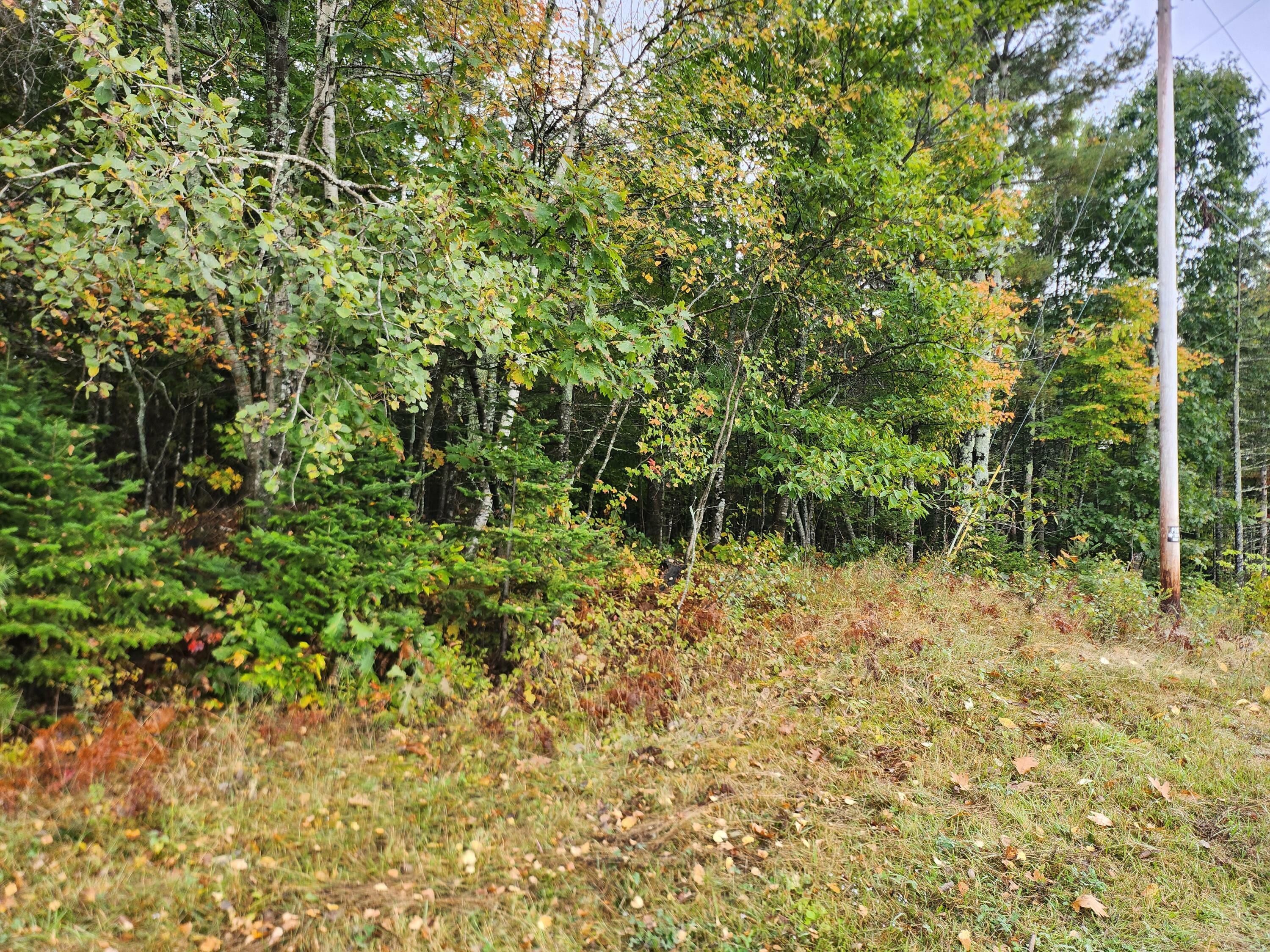 Property Photo:  Lot 46 Lane Road  ME 04930 